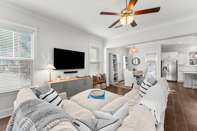 living room with ceiling fan, dark hardwood / wood-style flooring, and crown molding