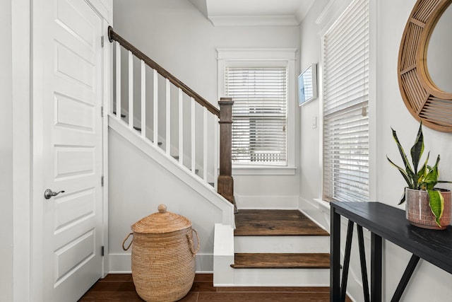 stairway featuring crown molding and hardwood / wood-style floors