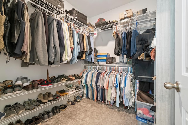 walk in closet with carpet