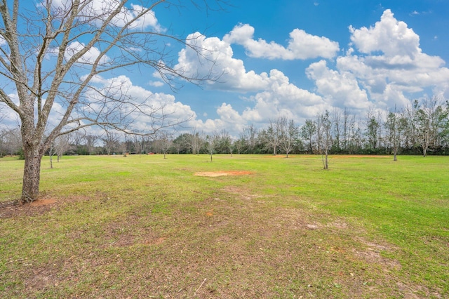 view of yard with a rural view