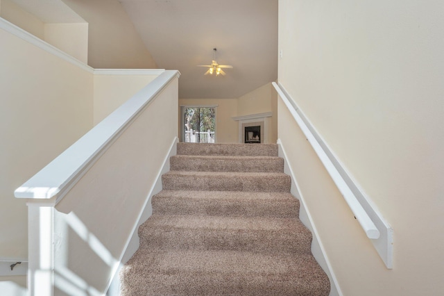 staircase with carpet floors and ceiling fan