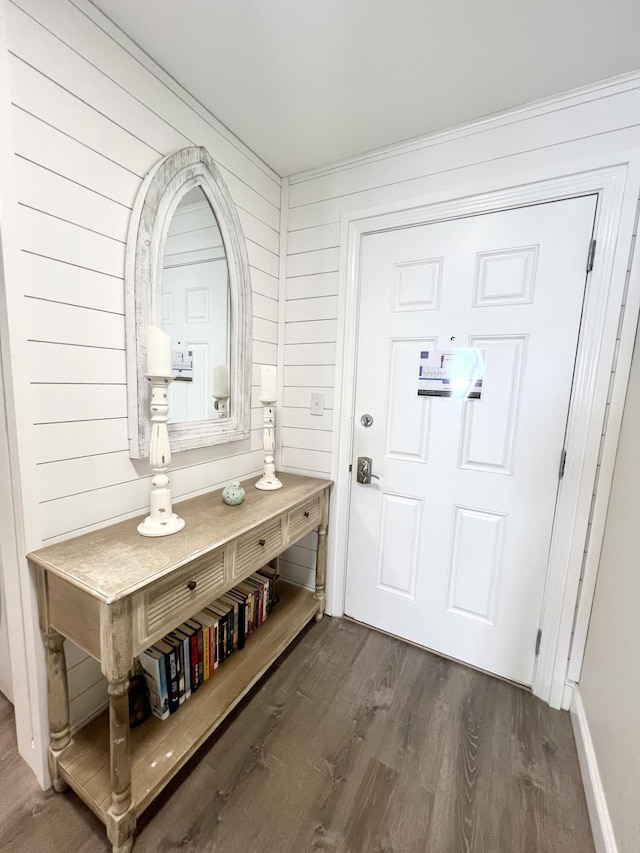 entrance foyer featuring dark wood-type flooring