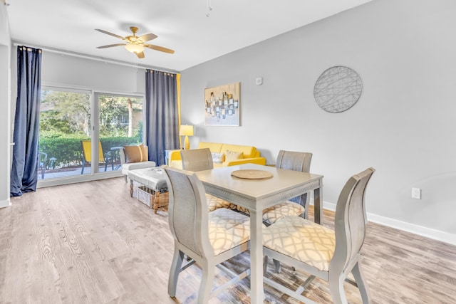 dining room with ceiling fan and light hardwood / wood-style floors