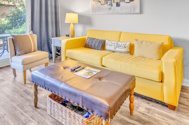 living room with hardwood / wood-style flooring