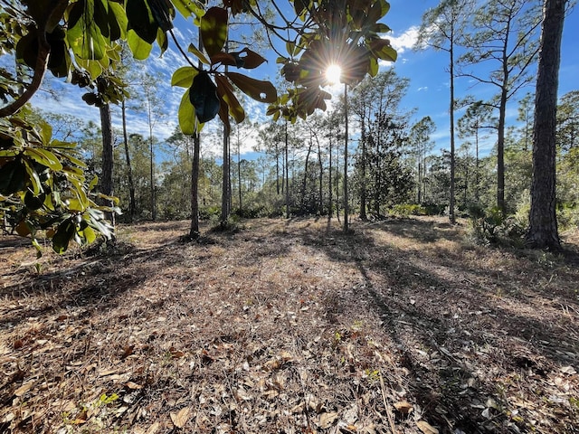 Listing photo 2 for LOT4 Mario Rd, Santa Rosa Beach FL 32459