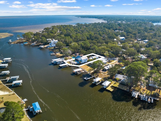 bird's eye view featuring a water view and a view of trees