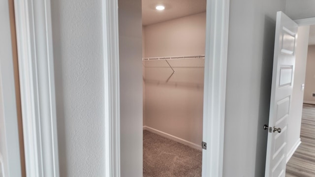 walk in closet featuring carpet flooring