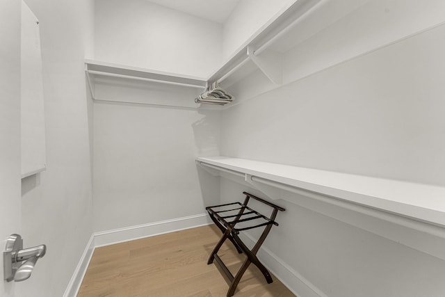 spacious closet featuring light hardwood / wood-style flooring