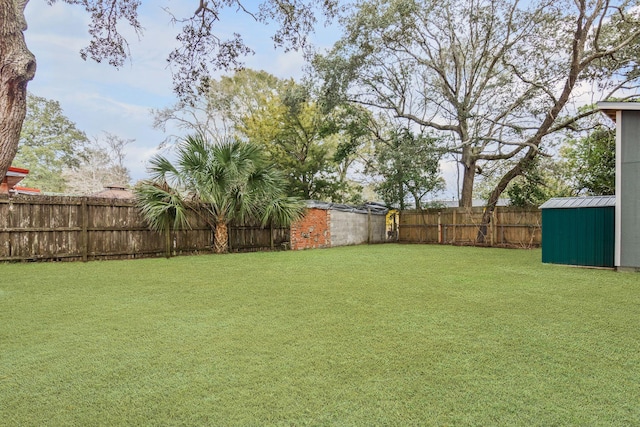 view of yard with a shed