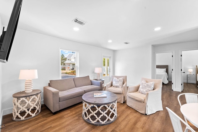 living room featuring hardwood / wood-style flooring