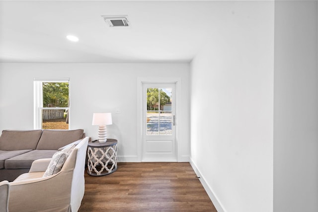 living room featuring dark wood-type flooring