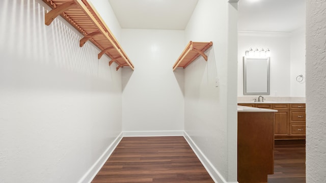 spacious closet with sink and dark wood-type flooring