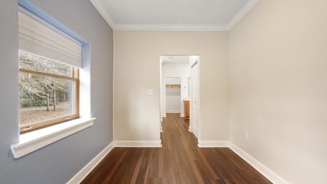 corridor featuring crown molding and dark hardwood / wood-style floors