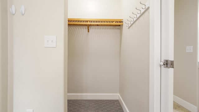 view of closet