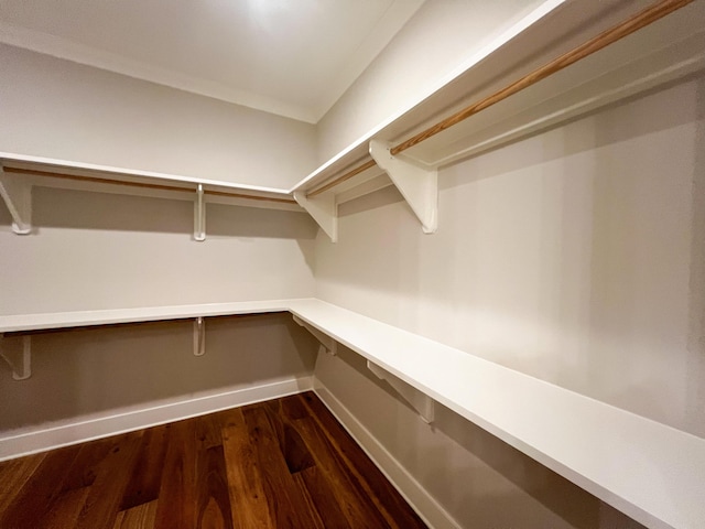 spacious closet featuring dark hardwood / wood-style flooring