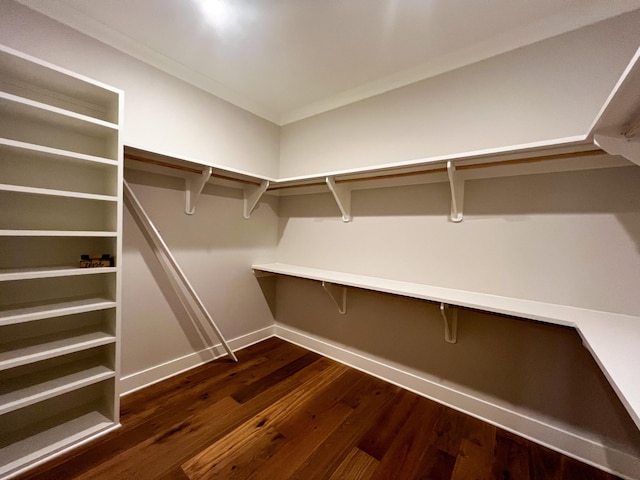 spacious closet featuring dark hardwood / wood-style floors