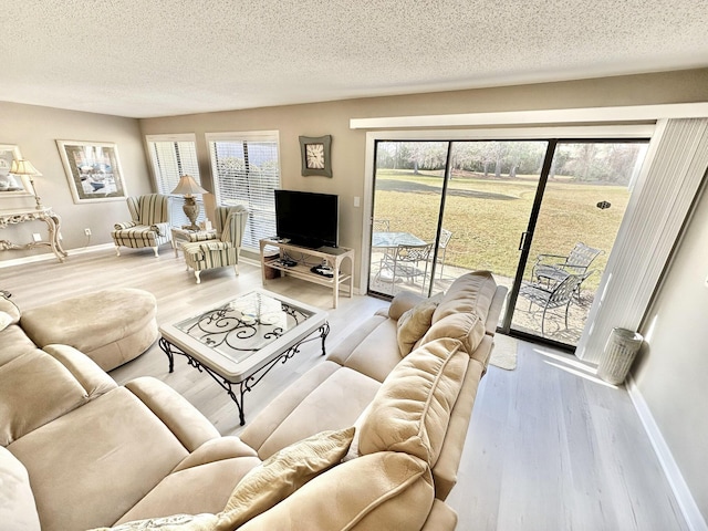 living room with a textured ceiling and light hardwood / wood-style flooring