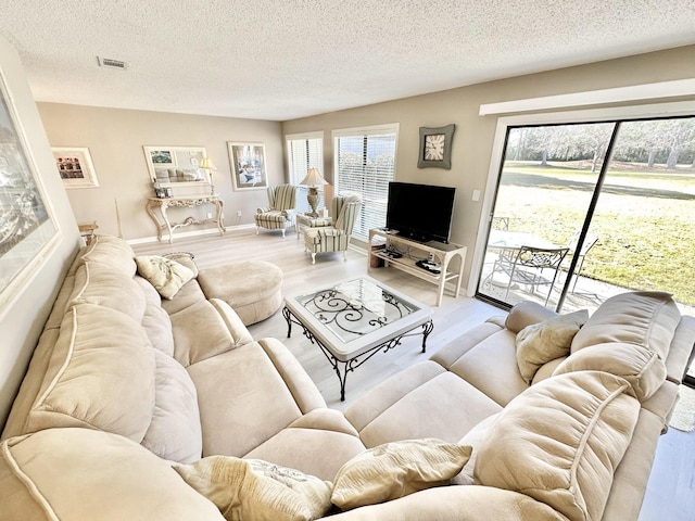 living room with a textured ceiling and light hardwood / wood-style flooring