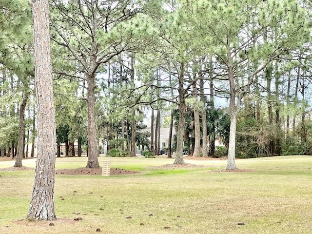 view of home's community with a lawn