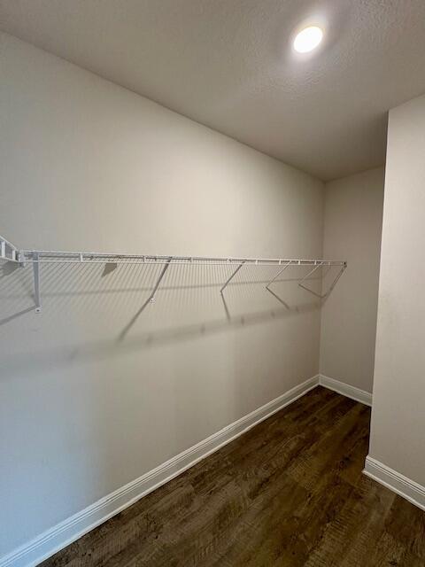 8177 Majestic Cypress Dr, Milton, FL 32583 - spacious closet featuring dark wood-style flooring