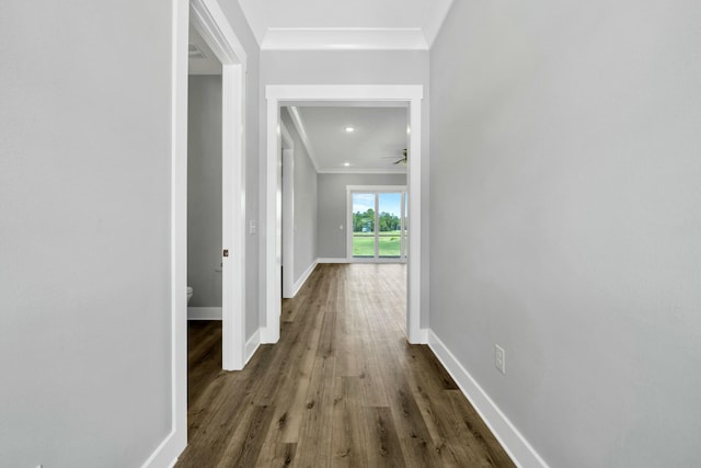 corridor with dark hardwood / wood-style flooring and ornamental molding