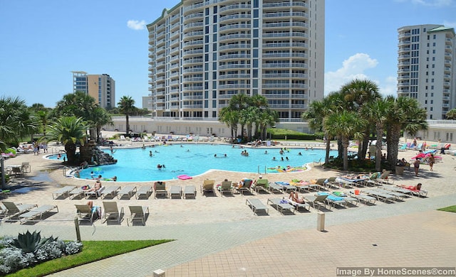 view of swimming pool with a patio area