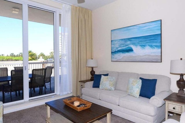 view of carpeted living room