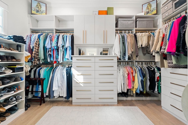 walk in closet featuring light hardwood / wood-style flooring