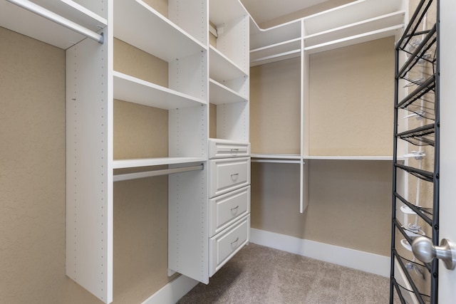 spacious closet featuring carpet flooring