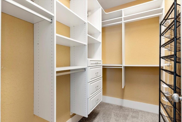 31 Beacon Point Dr, Santa Rosa Beach, FL 32459 - spacious closet featuring carpet