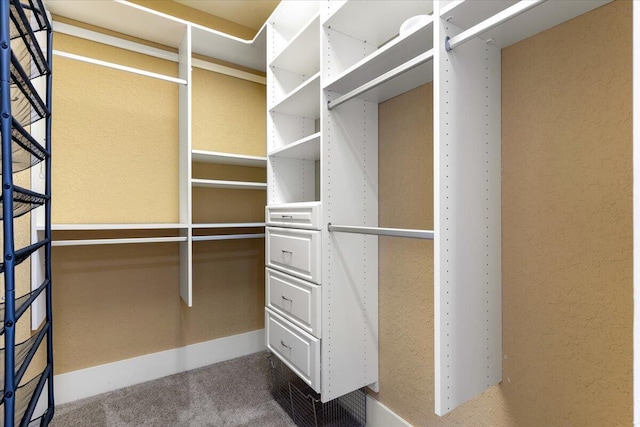 31 Beacon Point Dr, Santa Rosa Beach, FL 32459 - walk in closet with carpet flooring