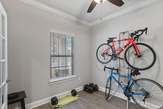 workout area with crown molding, wood-type flooring, and ceiling fan