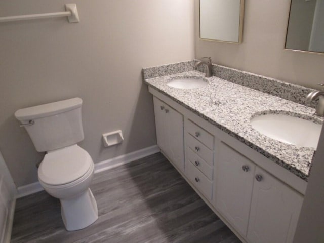 bathroom featuring toilet, vanity, and wood-type flooring