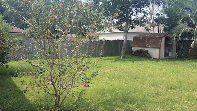 view of yard featuring a storage shed