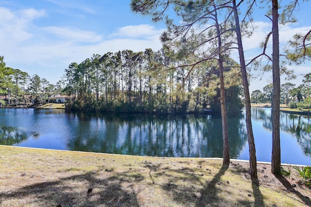 property view of water