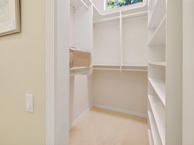 spacious closet with light colored carpet