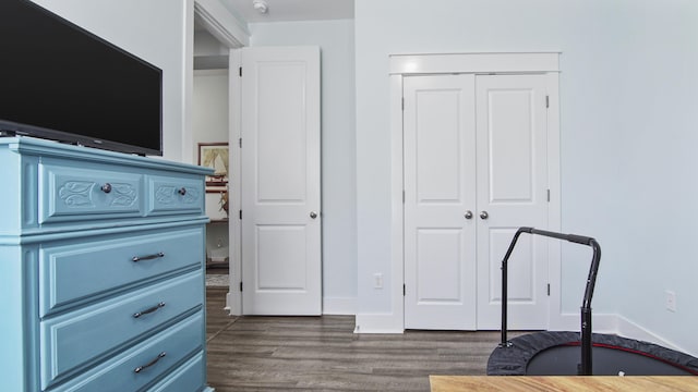 bedroom featuring dark wood-type flooring and a closet