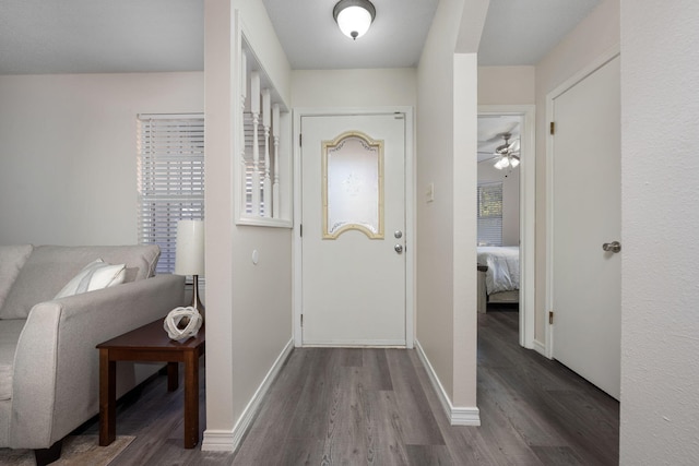 entryway with baseboards and wood finished floors