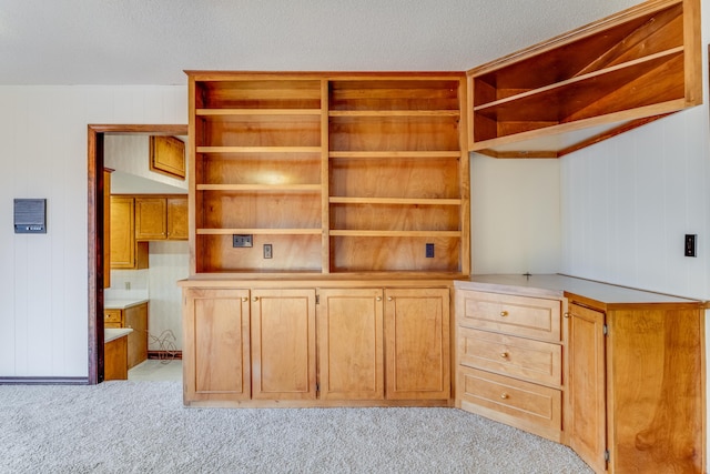 interior space featuring a textured ceiling and light carpet