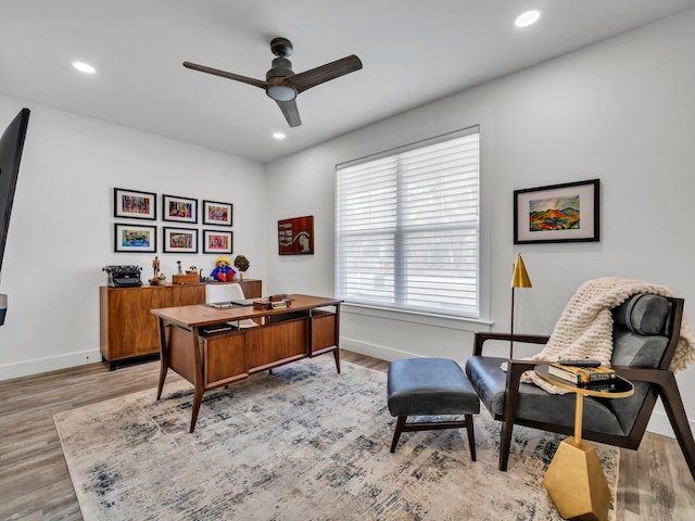 office featuring ceiling fan and light wood-type flooring