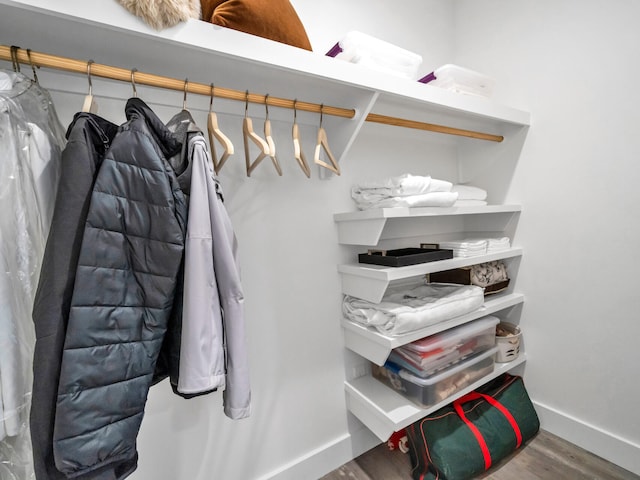 spacious closet with hardwood / wood-style flooring