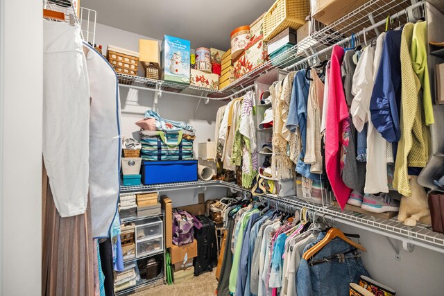 walk in closet featuring carpet floors