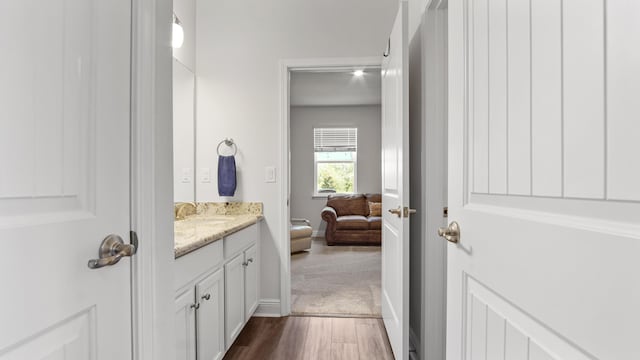 bathroom featuring vanity, baseboards, and wood finished floors