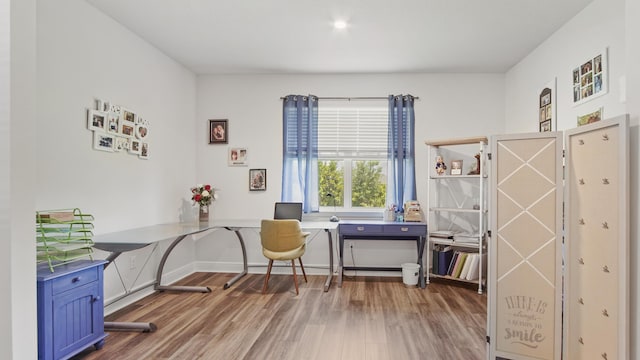 home office featuring wood finished floors