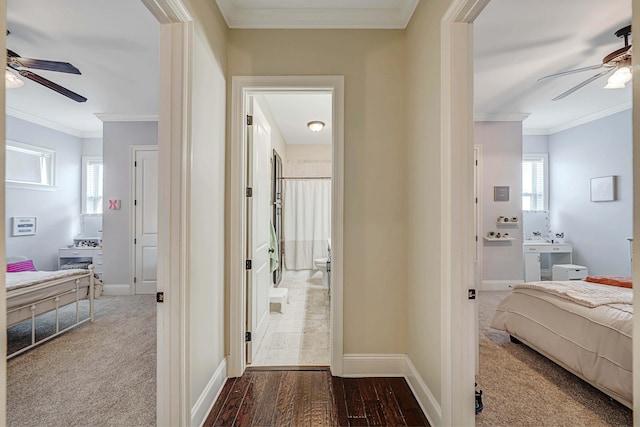 hall with wood-type flooring and crown molding