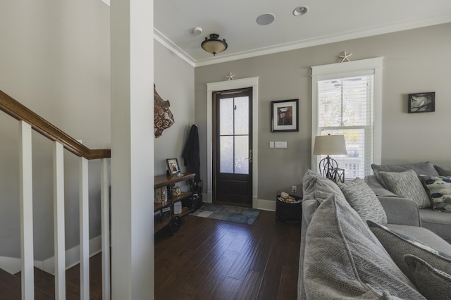 entrance foyer with ornamental molding and dark hardwood / wood-style flooring