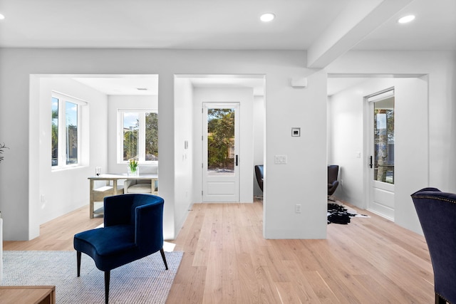 foyer with plenty of natural light and light hardwood / wood-style flooring