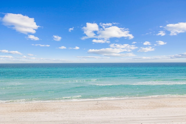 water view featuring a view of the beach