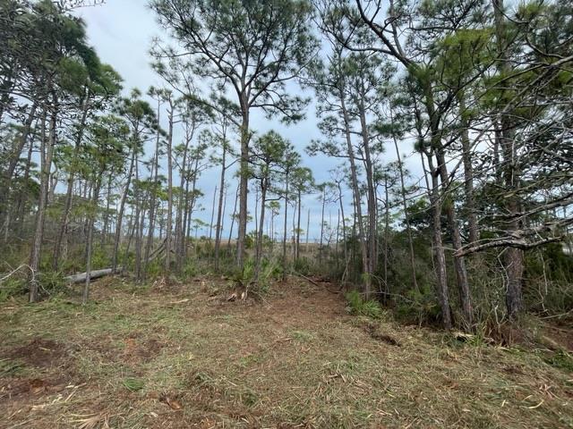 Listing photo 2 for LOT6 Cape San Blas Rd, Cape San Blas FL 32456