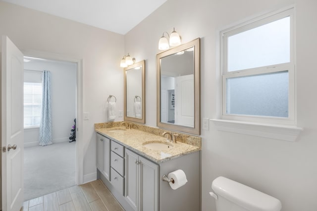 bathroom with toilet and vanity